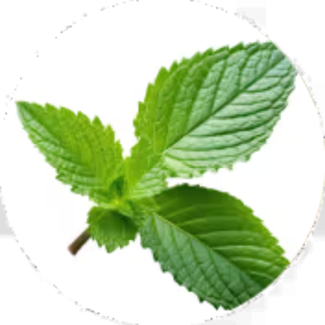 Official Bottle (10)