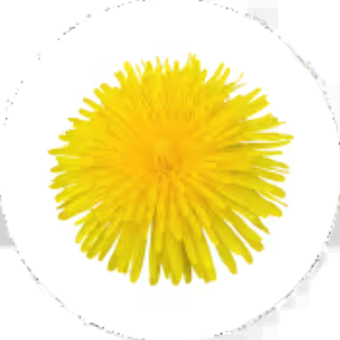 Official Bottle (14)